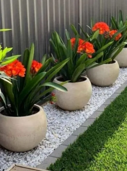 Macetas Esfera de fibrocemento con plantas en un jardín